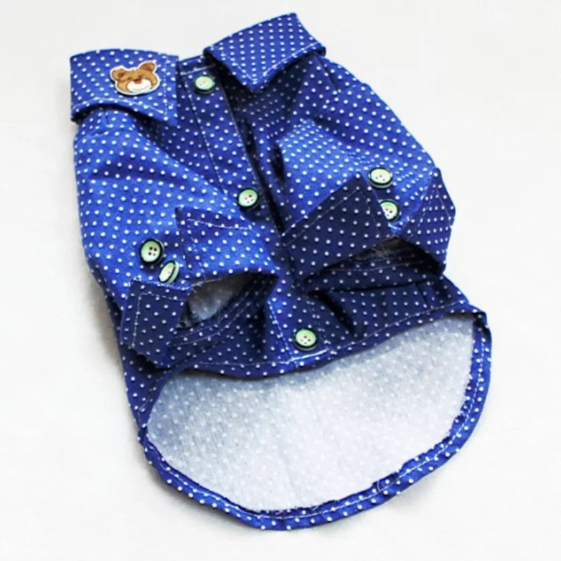 Blue Teddy Button Up